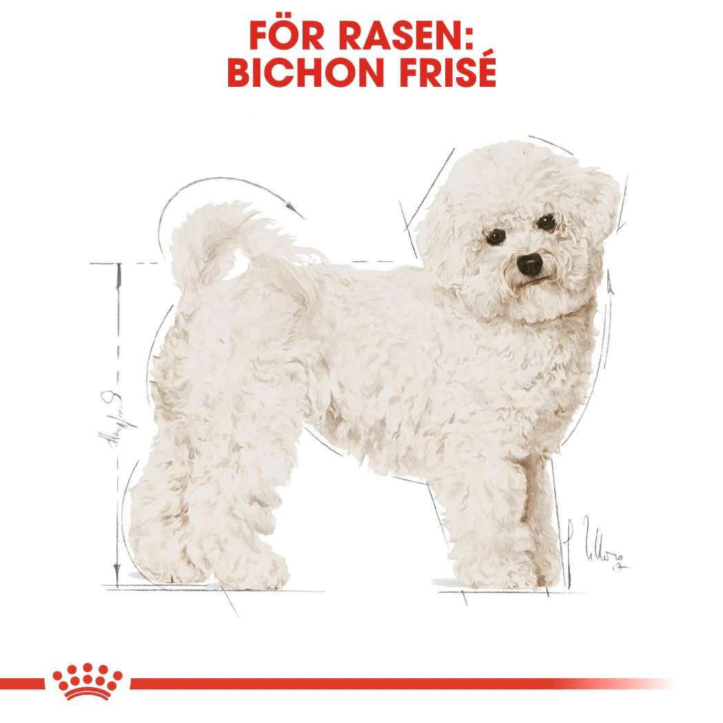 Royal Canin Bichon Frisé Adult - Image 2