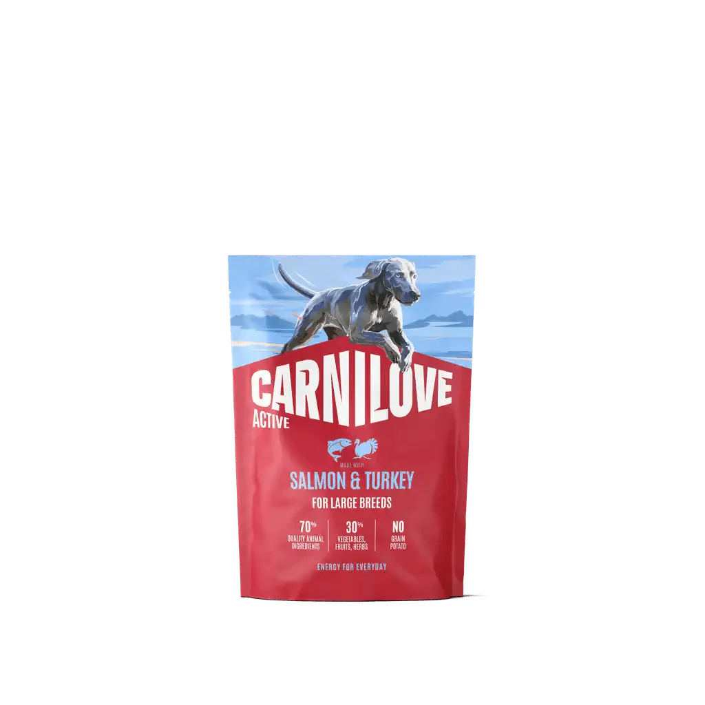 Carnilove Active Dog Dry Salmon & Turkey for Adult Large Breeds