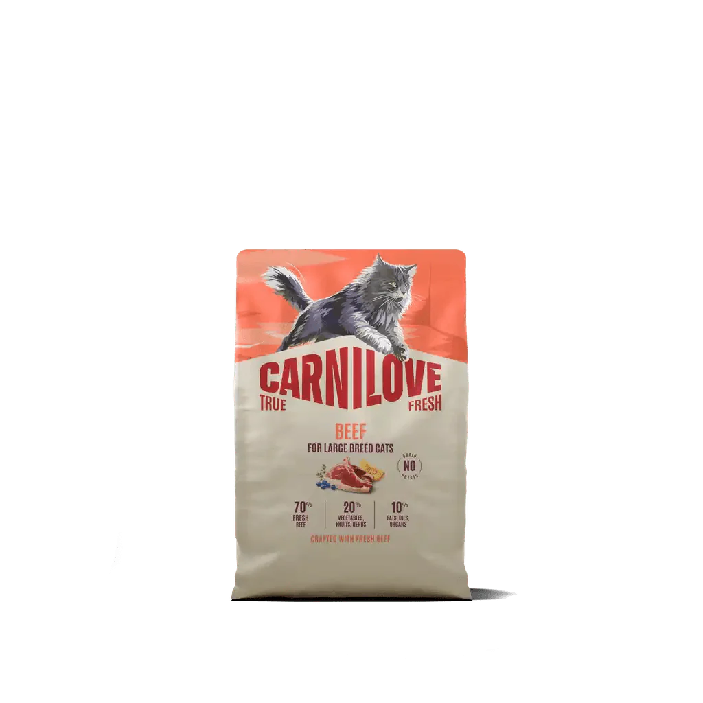 Carnilove True Fresh Cat Dry Beef for Adult Large Breeds