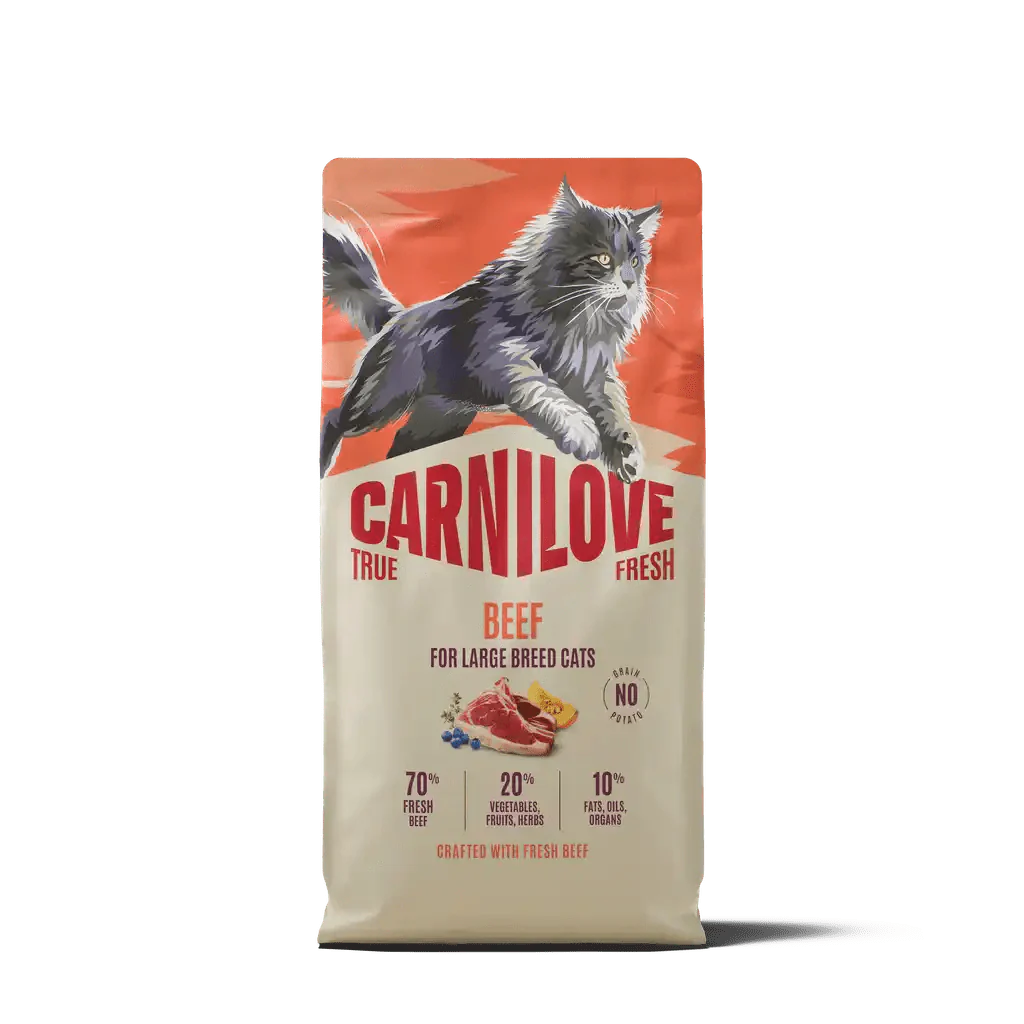 Carnilove True Fresh Cat Dry Beef for Adult Large Breeds - Image 2