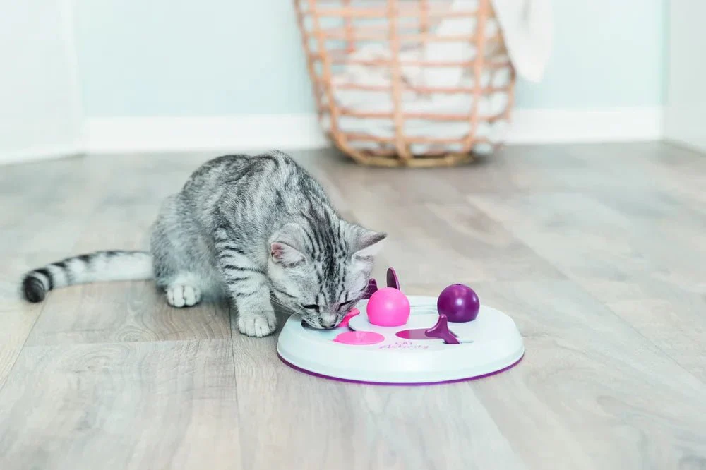 Cat Activity Flip Board - Image 4