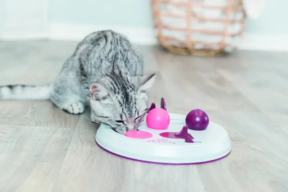 Cat Activity Flip Board - Image 5