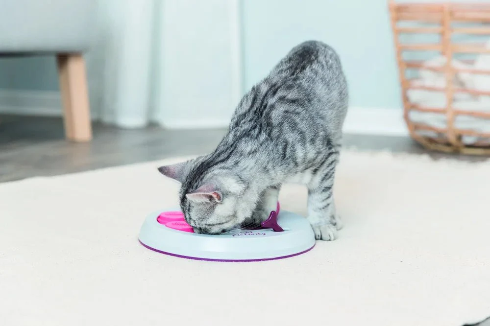 Cat Activity Flip Board - Image 6