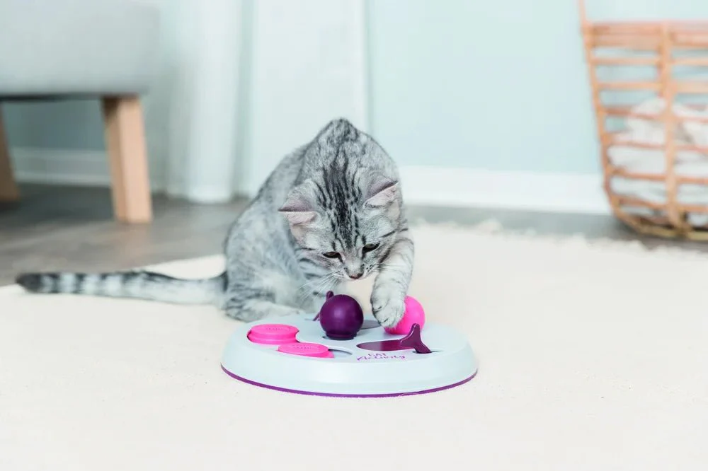 Cat Activity Flip Board - Image 7