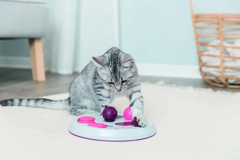 Cat Activity Flip Board - Image 8