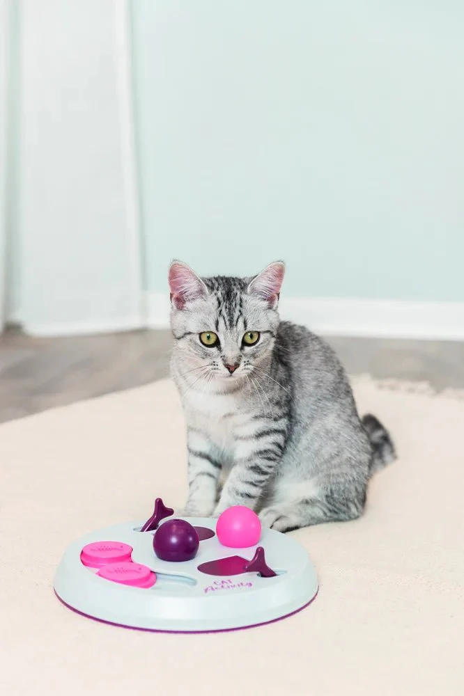 Cat Activity Flip Board - Image 9