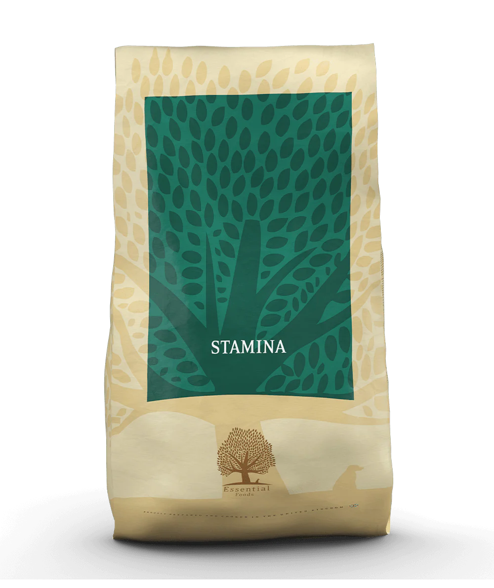 Essential Stamina - Image 2