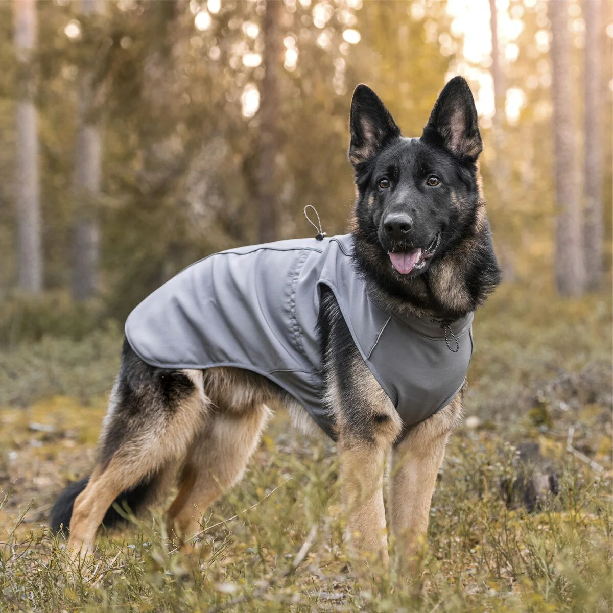 FINNERO Softshell-täcke Sport - Image 3