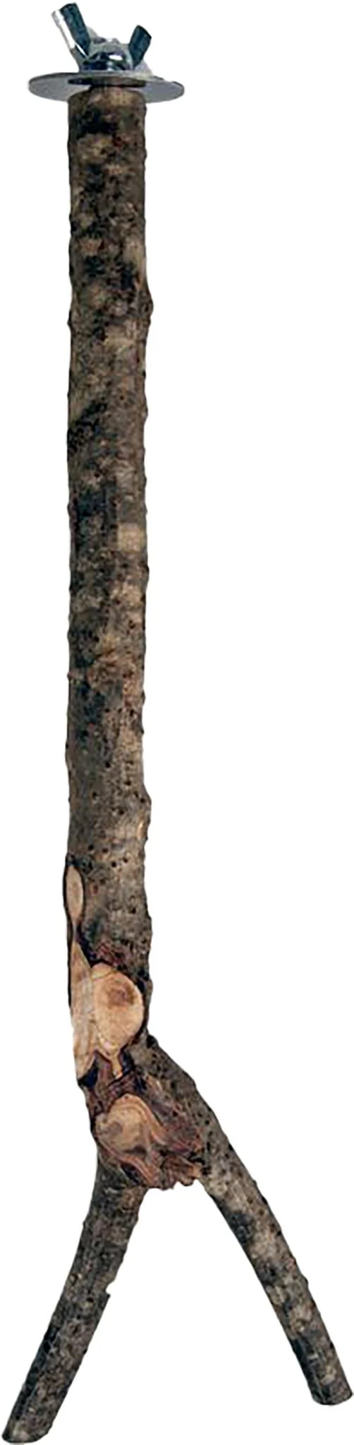 Miniatyrbild 1