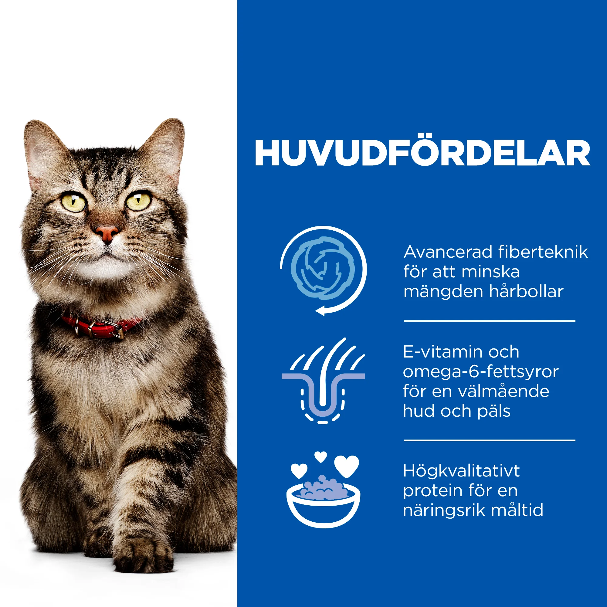 Hill's Science Plan Hairball & Perfect Coat kattfoder med kyckling för vuxna katter - Image 3