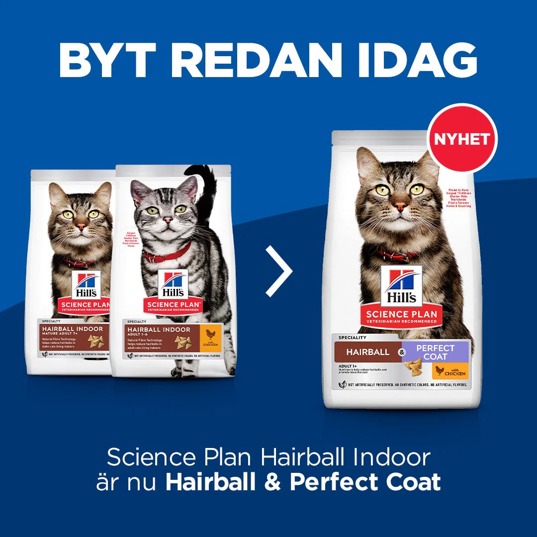 Hill's Science Plan Hairball & Perfect Coat kattfoder med kyckling för vuxna katter - Image 8