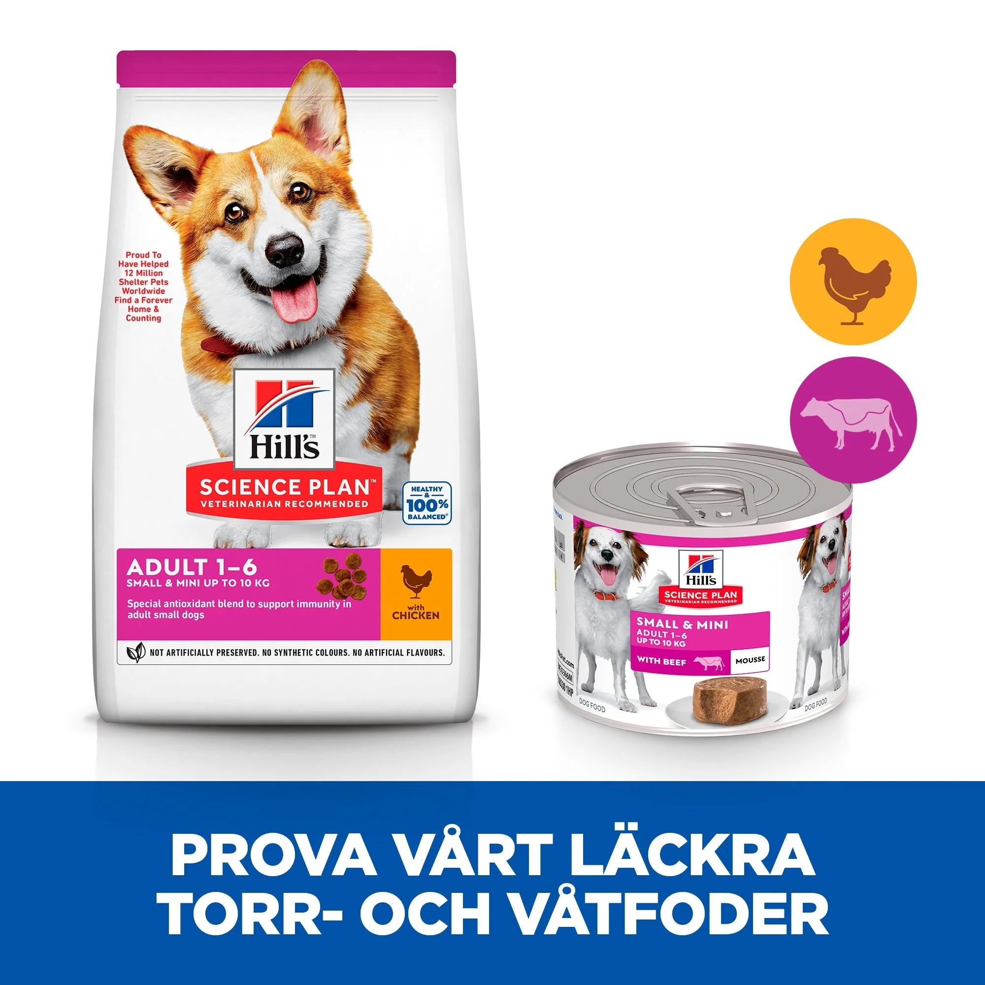 Hill's Science Plan Small & Mini Adult våtfoder till hundar med kyckling - Image 2