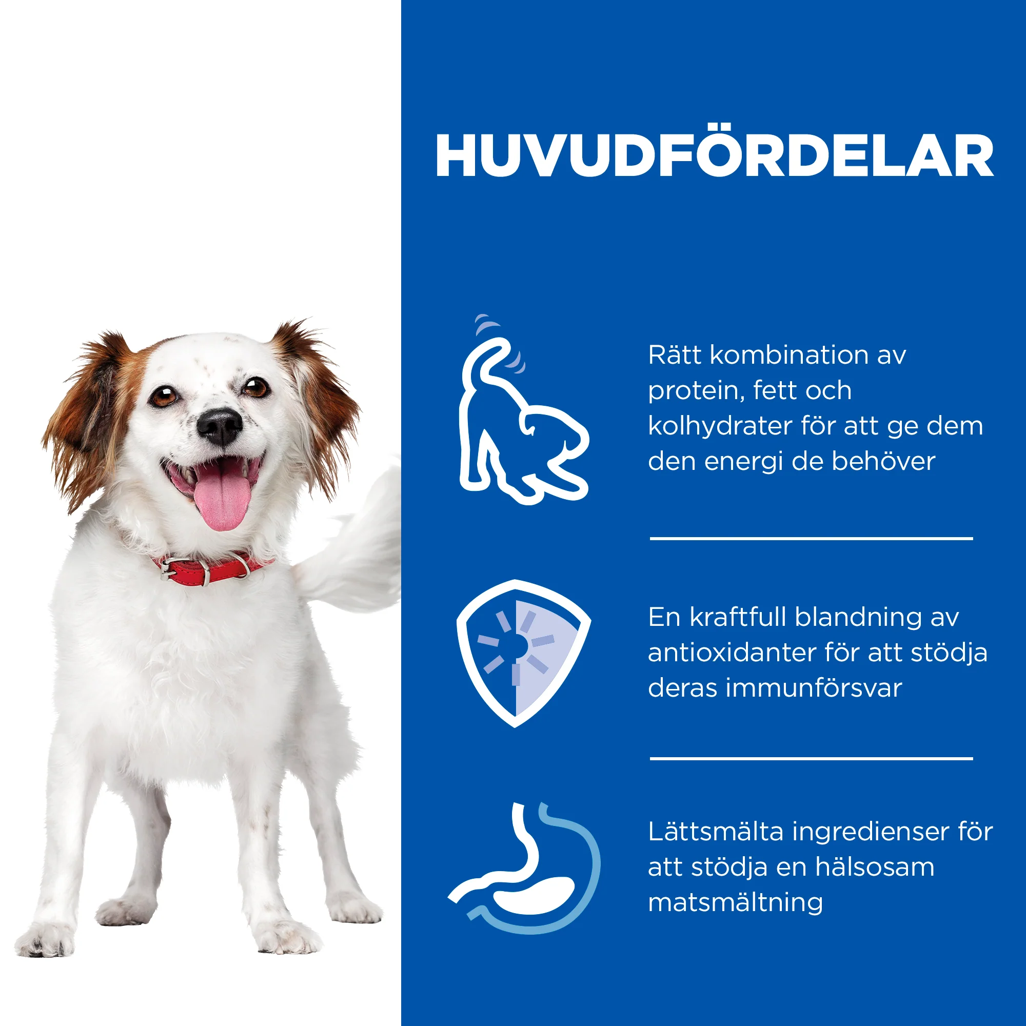 Hill's Science Plan Small & Mini Adult våtfoder till hundar med kyckling - Image 5
