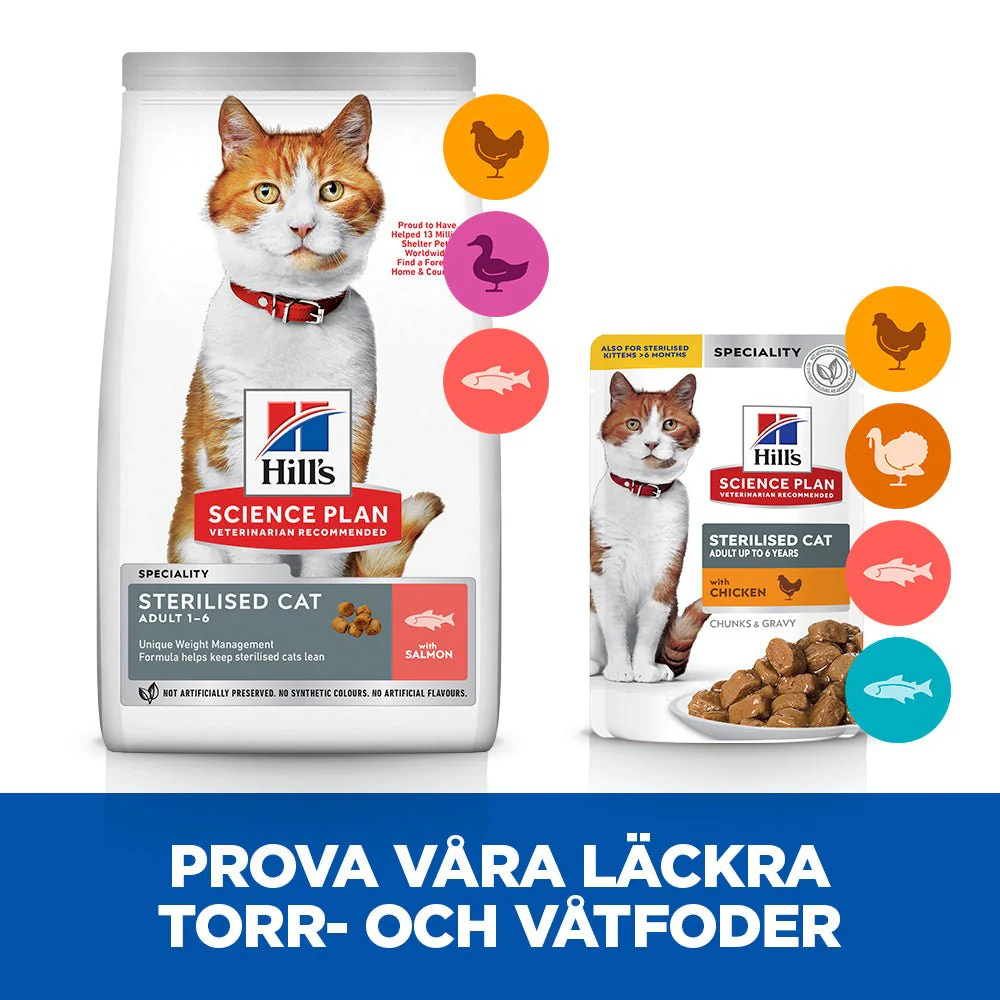 Hill's Science Plan Sterilised Cat torrfoder med lax för fullvuxna katter - Image 10