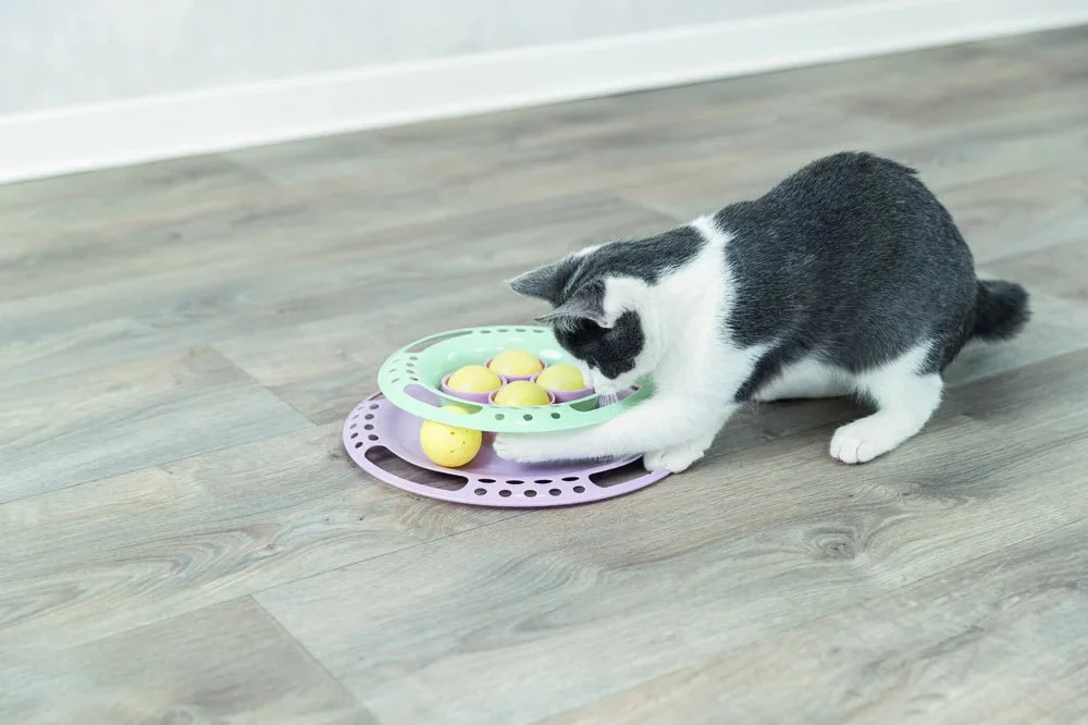 Junior Kitten Circle - Image 10