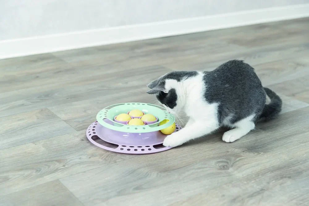 Junior Kitten Circle - Image 9