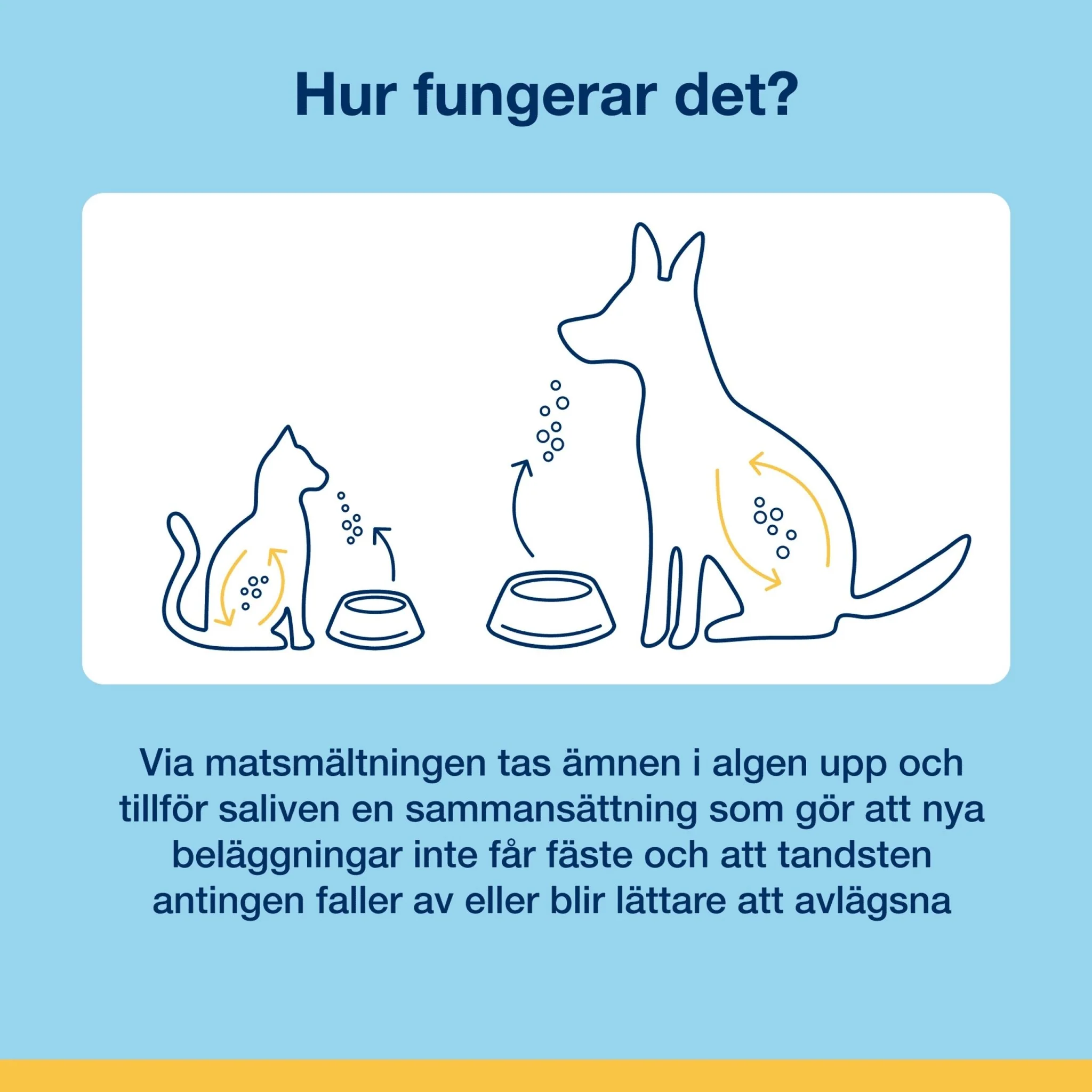 ProDen PlaqueOff® Powder Dog - Image 7