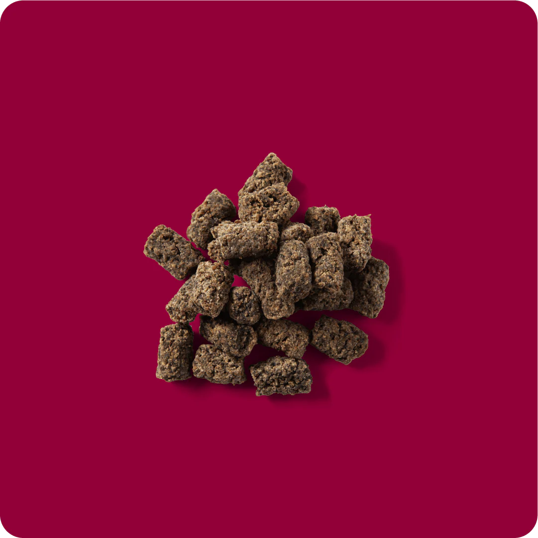 RAUH! Godis Beef Treat - Image 2