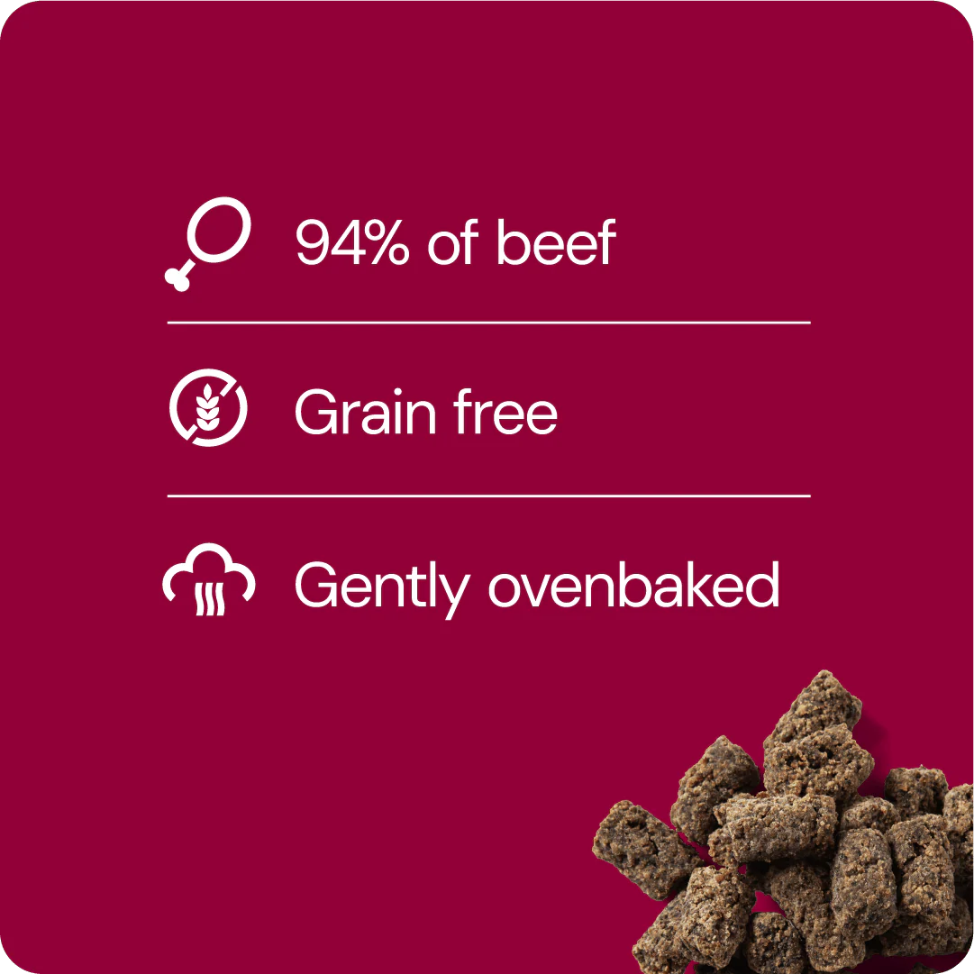 RAUH! Godis Beef Treat - Image 4