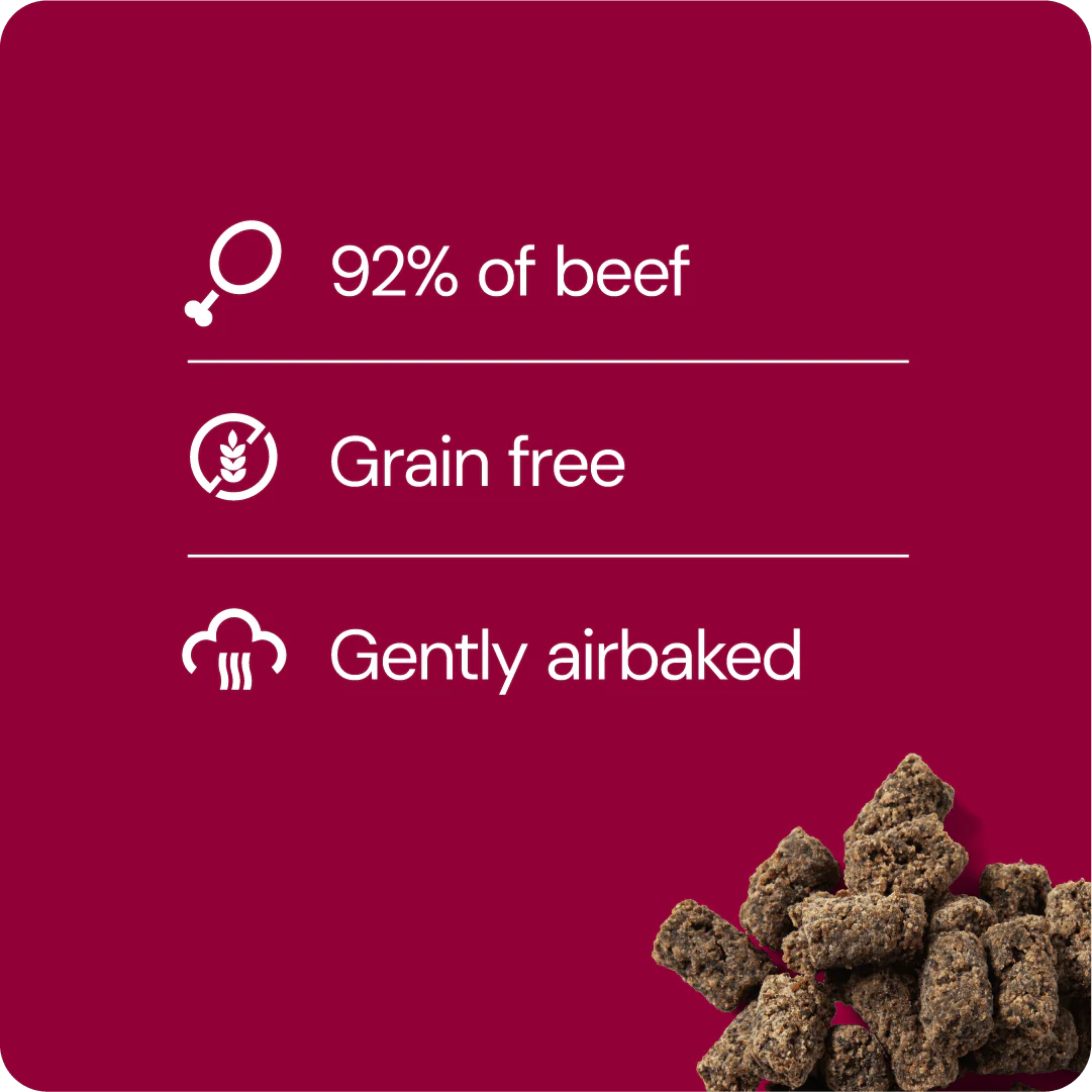 RAUH! Godis Cold-dried meatballs - Image 4