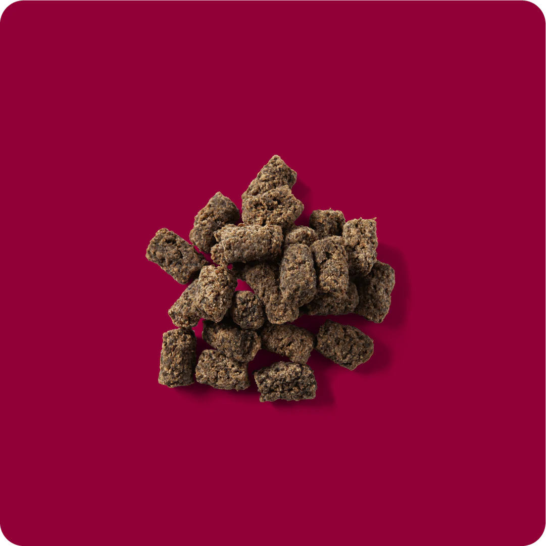 RAUH! Godis Cold-dried Tripe Sticks - Image 2