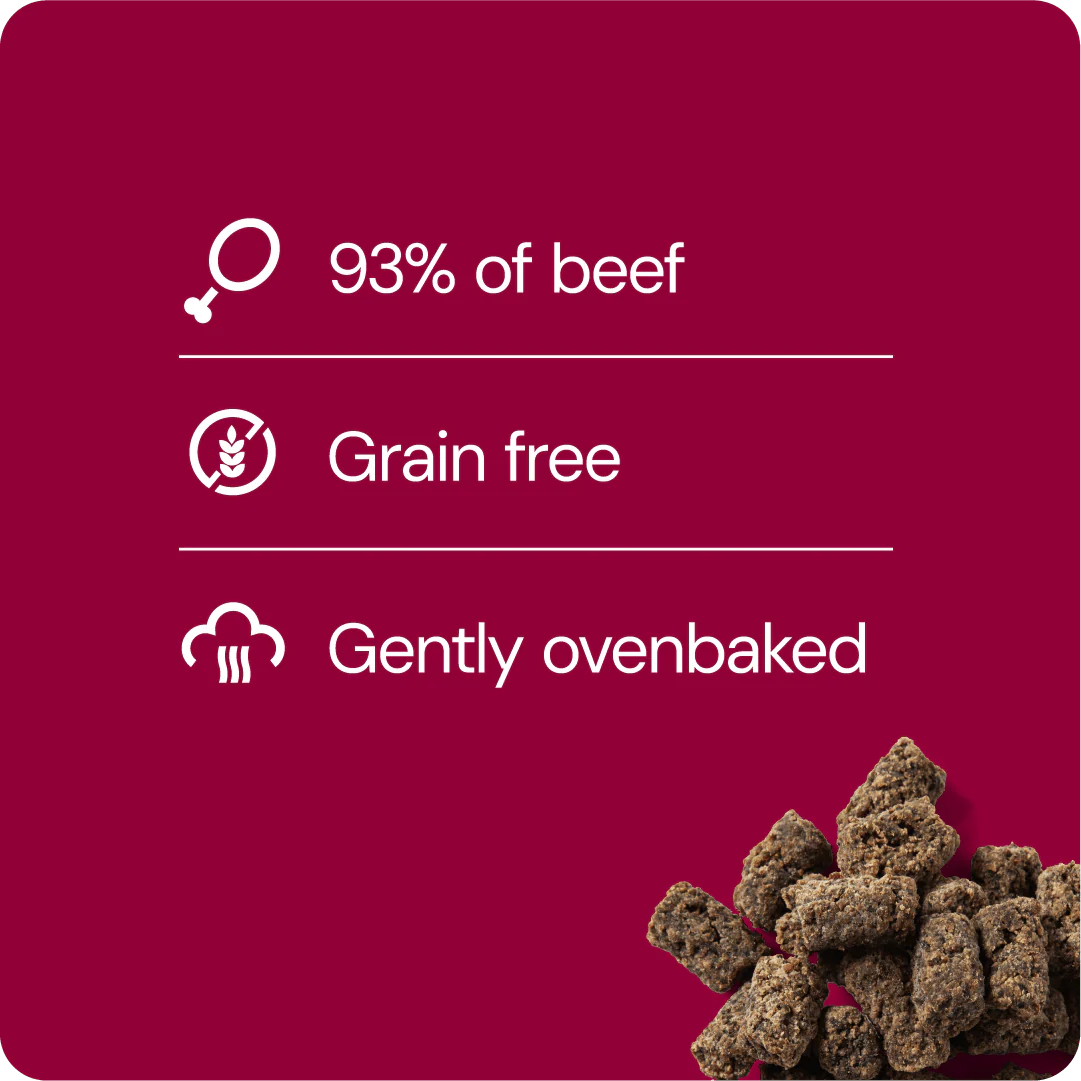 RAUH! Godis Liver Treat - Image 4