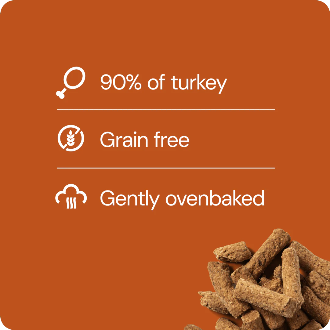 RAUH! Godis Turkey Treat - Image 4