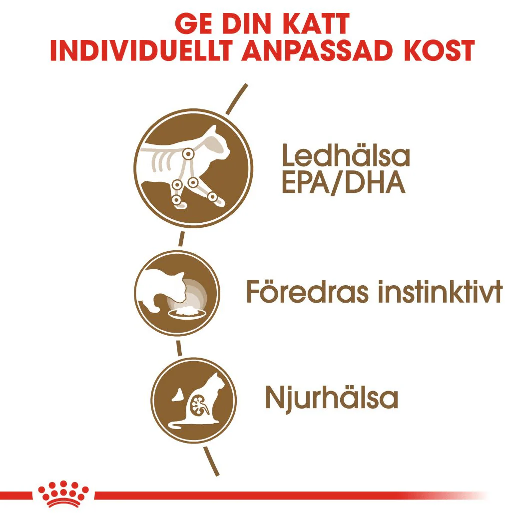 Royal Canin Ageing 12+ Gravy - Image 3