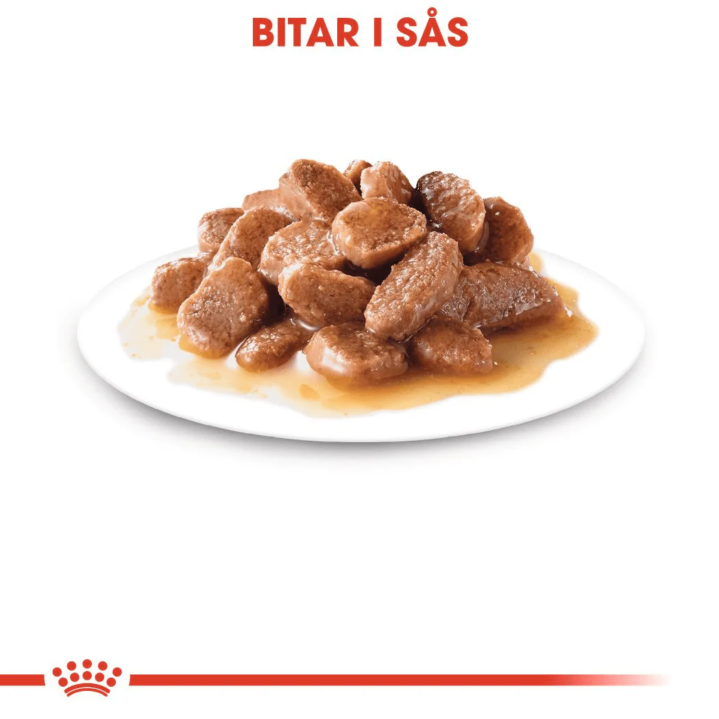 Royal Canin Ageing 12+ Gravy - Image 4
