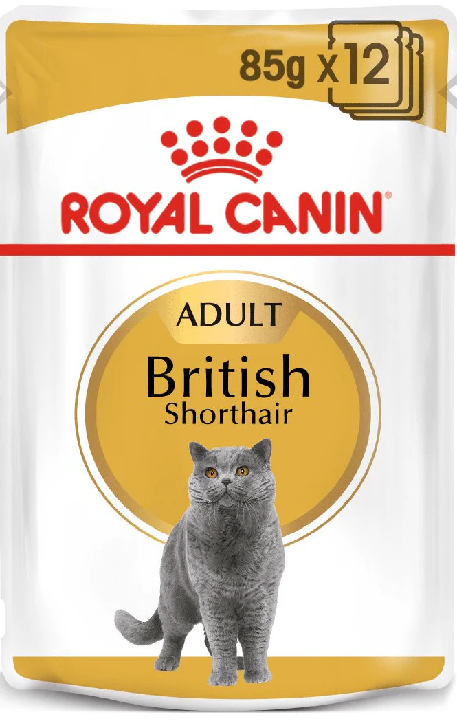 Royal Canin British Shorthair Gravy