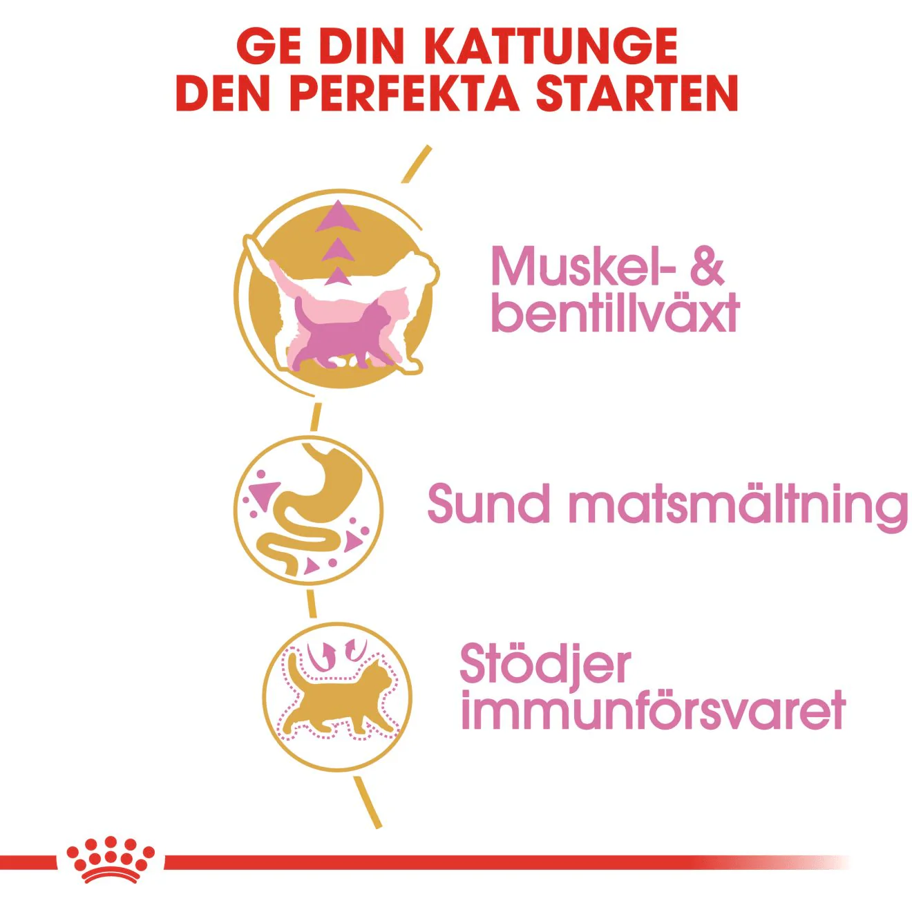 Royal Canin British Shorthair Kitten - Image 3