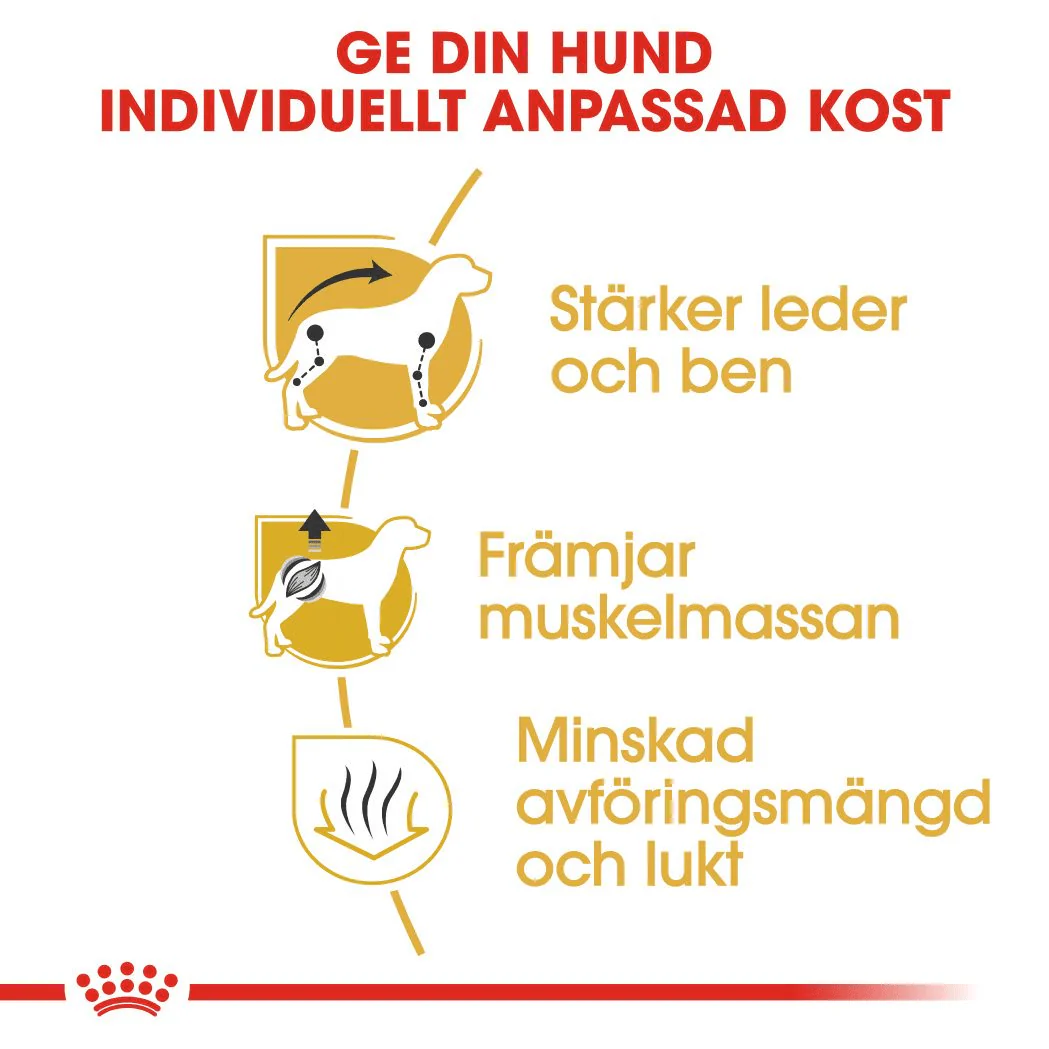 Royal Canin Dachshund Adult - Image 2