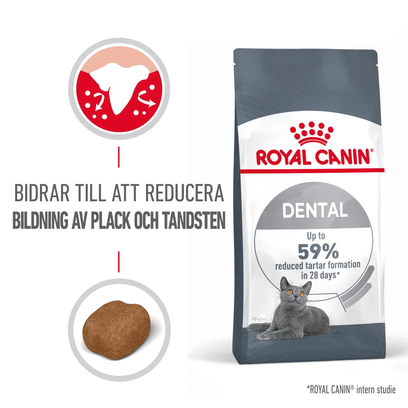 Royal Canin Dental Care Adult - Image 2