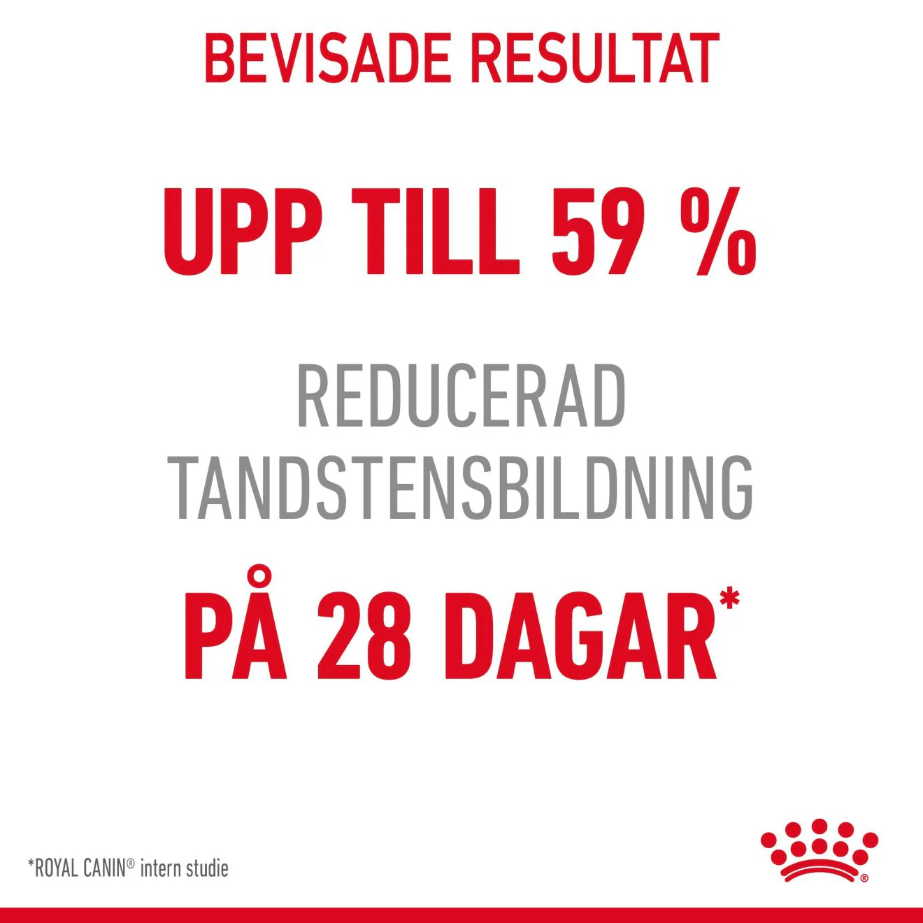 Royal Canin Dental Care Adult - Image 3