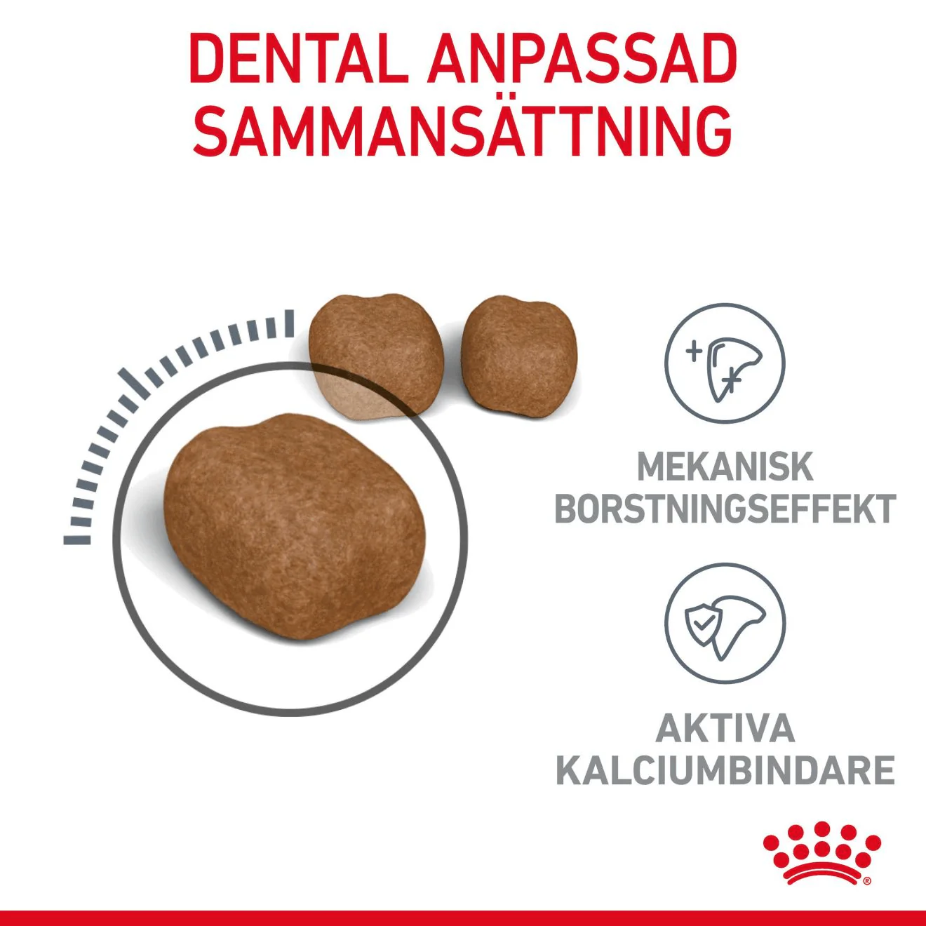 Royal Canin Dental Care Adult - Image 5