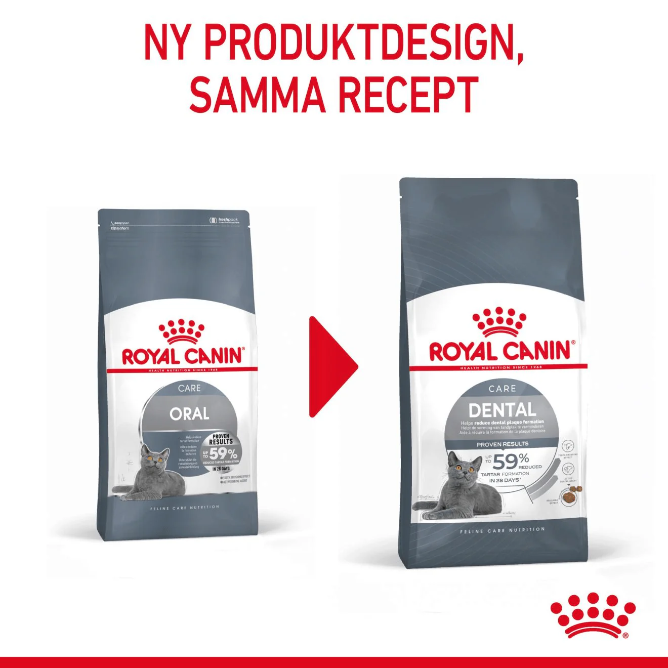 Royal Canin Dental Care Adult - Image 9