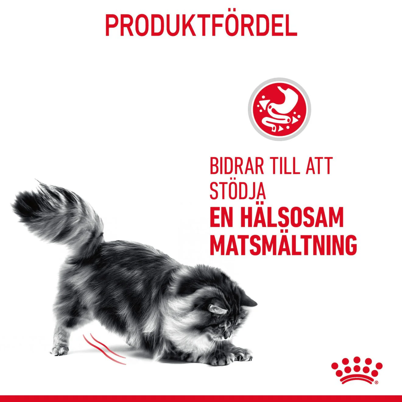 Royal Canin Digestive Care Adult - Image 4