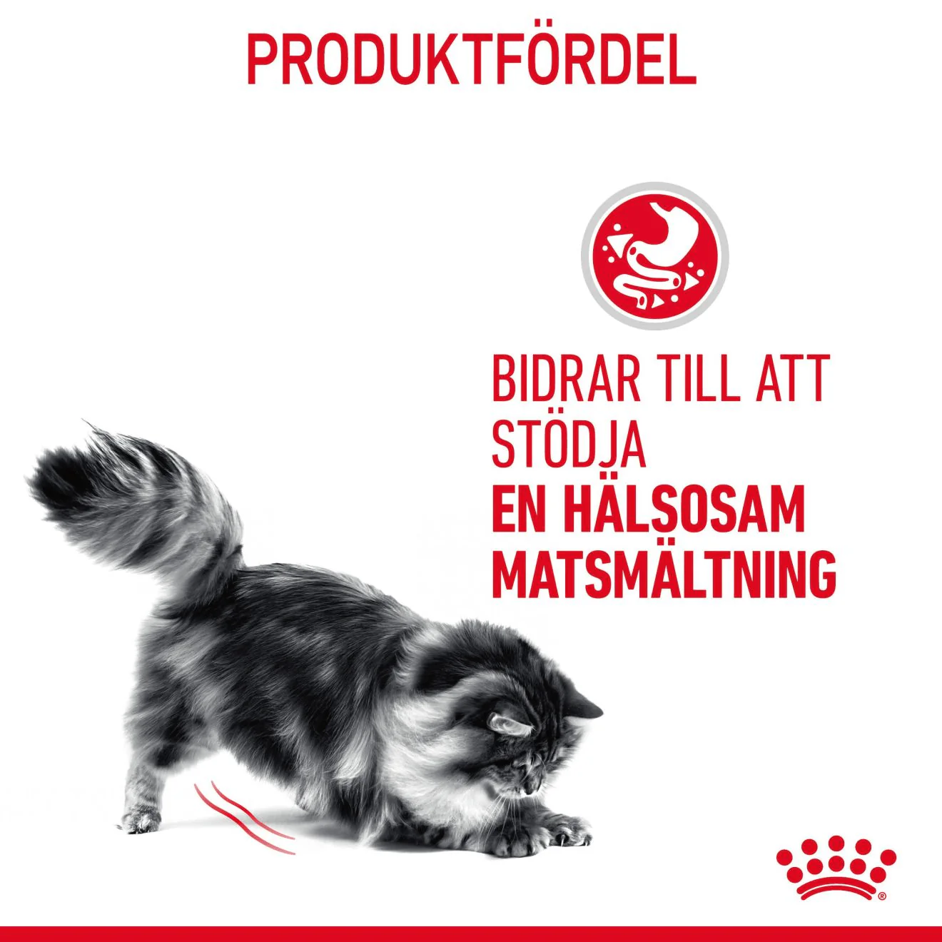 Royal Canin Digestive Care Gravy - Image 3
