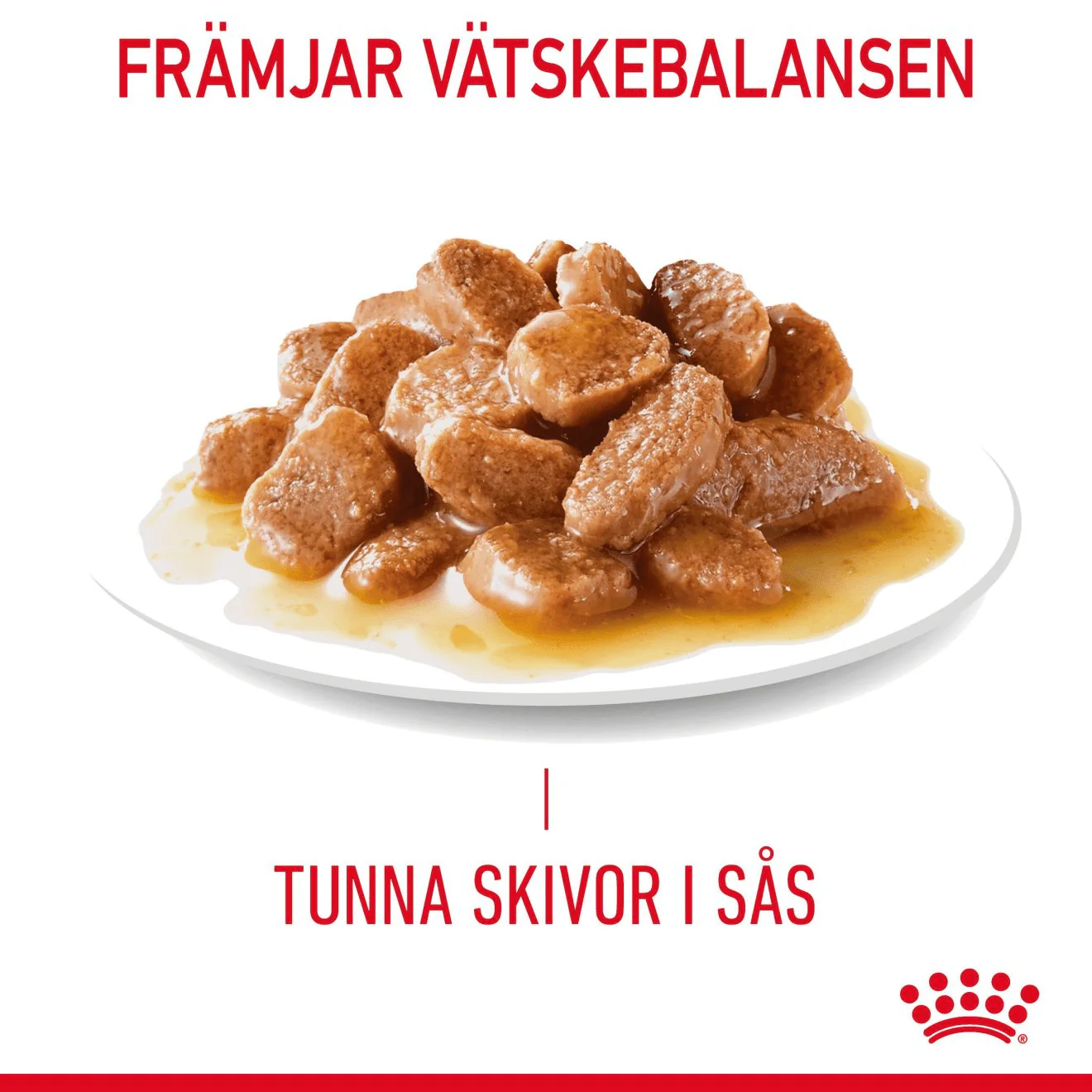 Royal Canin Digestive Care Gravy - Image 4