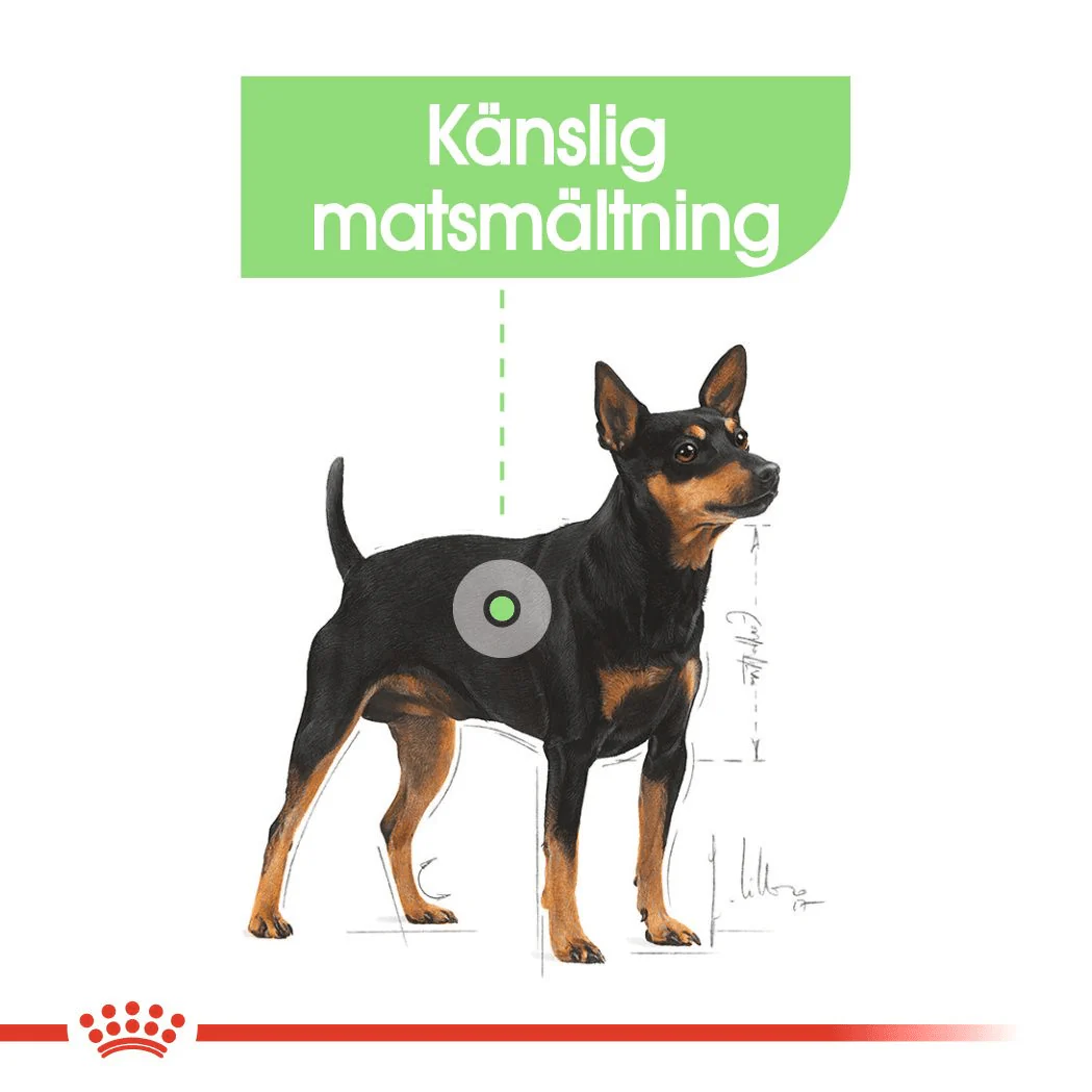 Royal Canin Digestive Care Loaf - Image 2