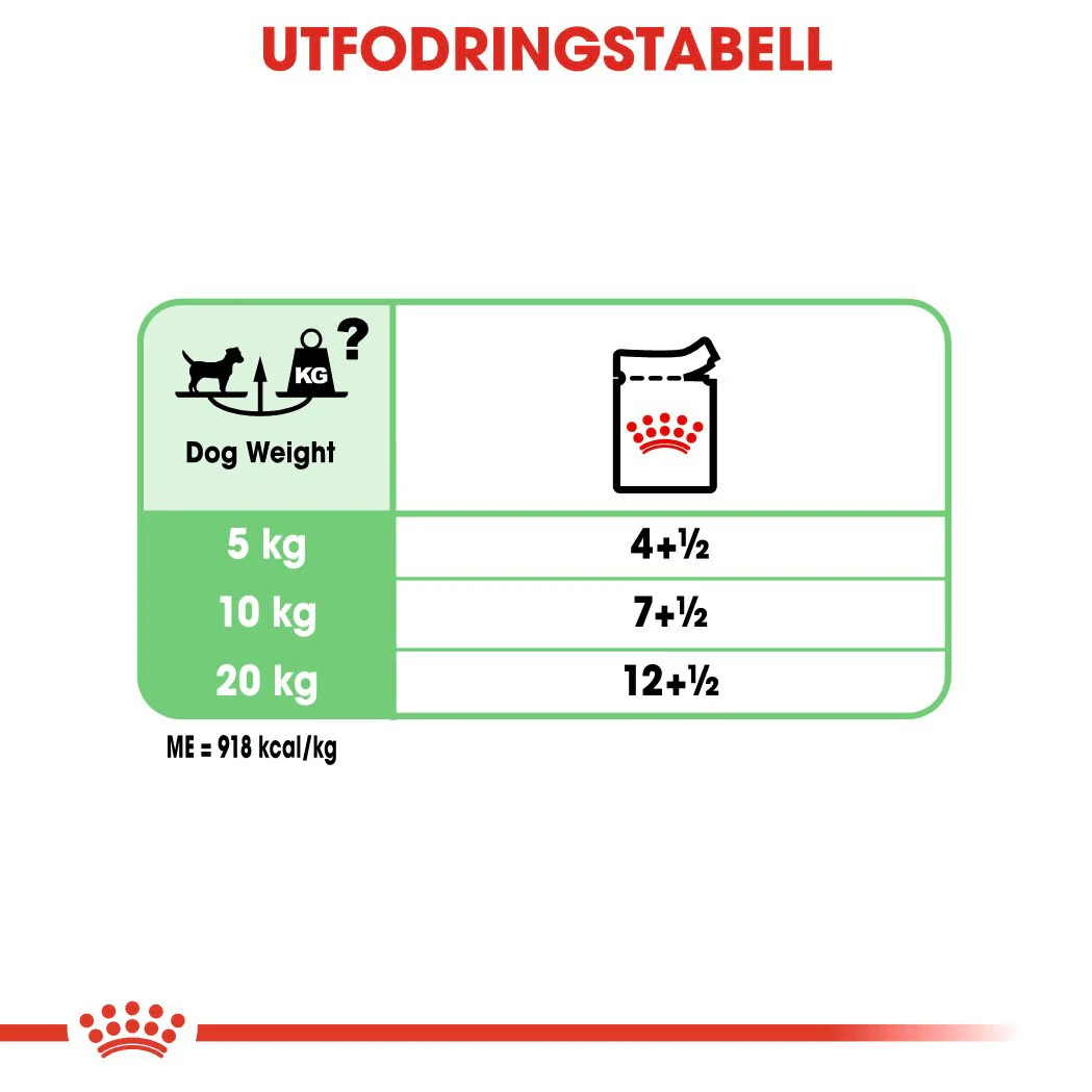 Royal Canin Digestive Care Loaf - Image 6