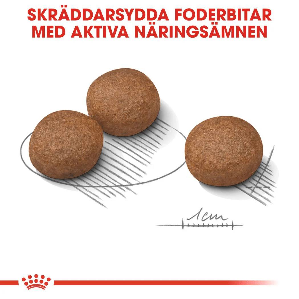 Royal Canin Digestive Care Medium - Image 3