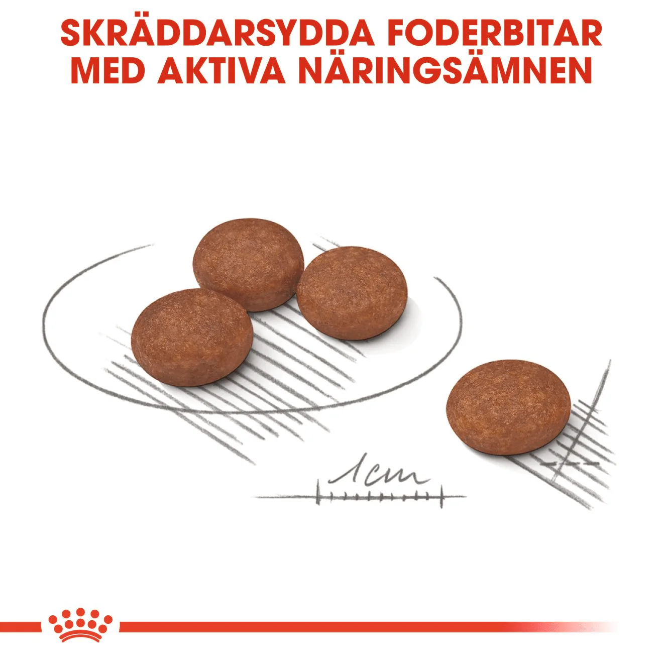 Royal Canin Digestive Care Mini - Image 5