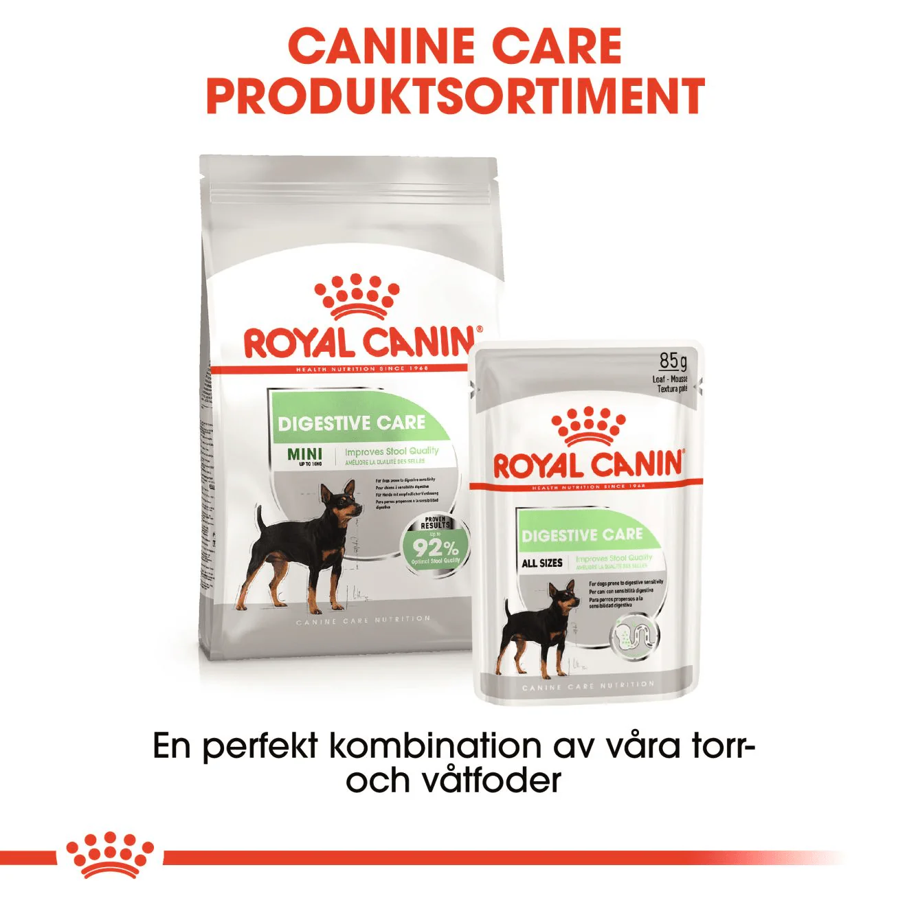 Royal Canin Digestive Care Mini - Image 6