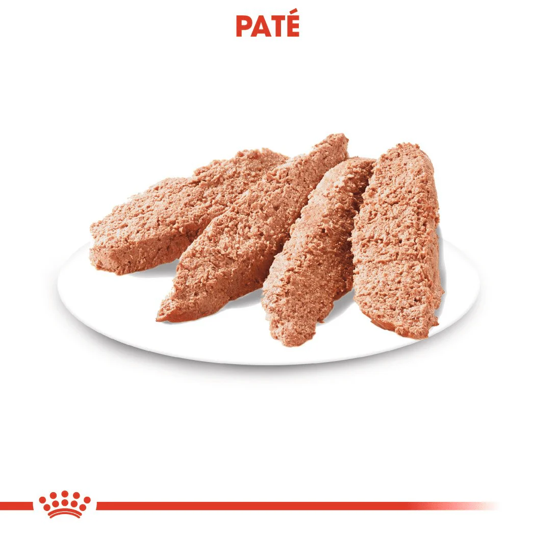 Royal Canin Exigent paté - Image 2