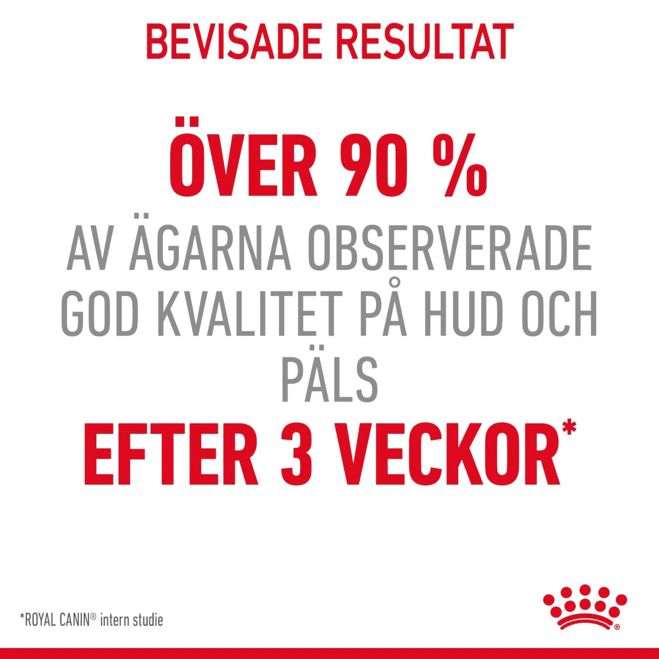 Royal Canin Hair & Skin Gravy - Image 11