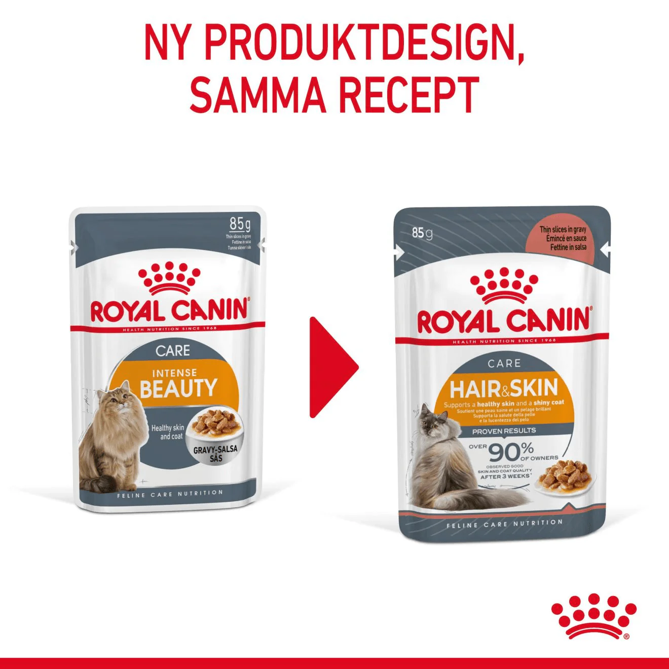 Royal Canin Hair & Skin Gravy - Image 9
