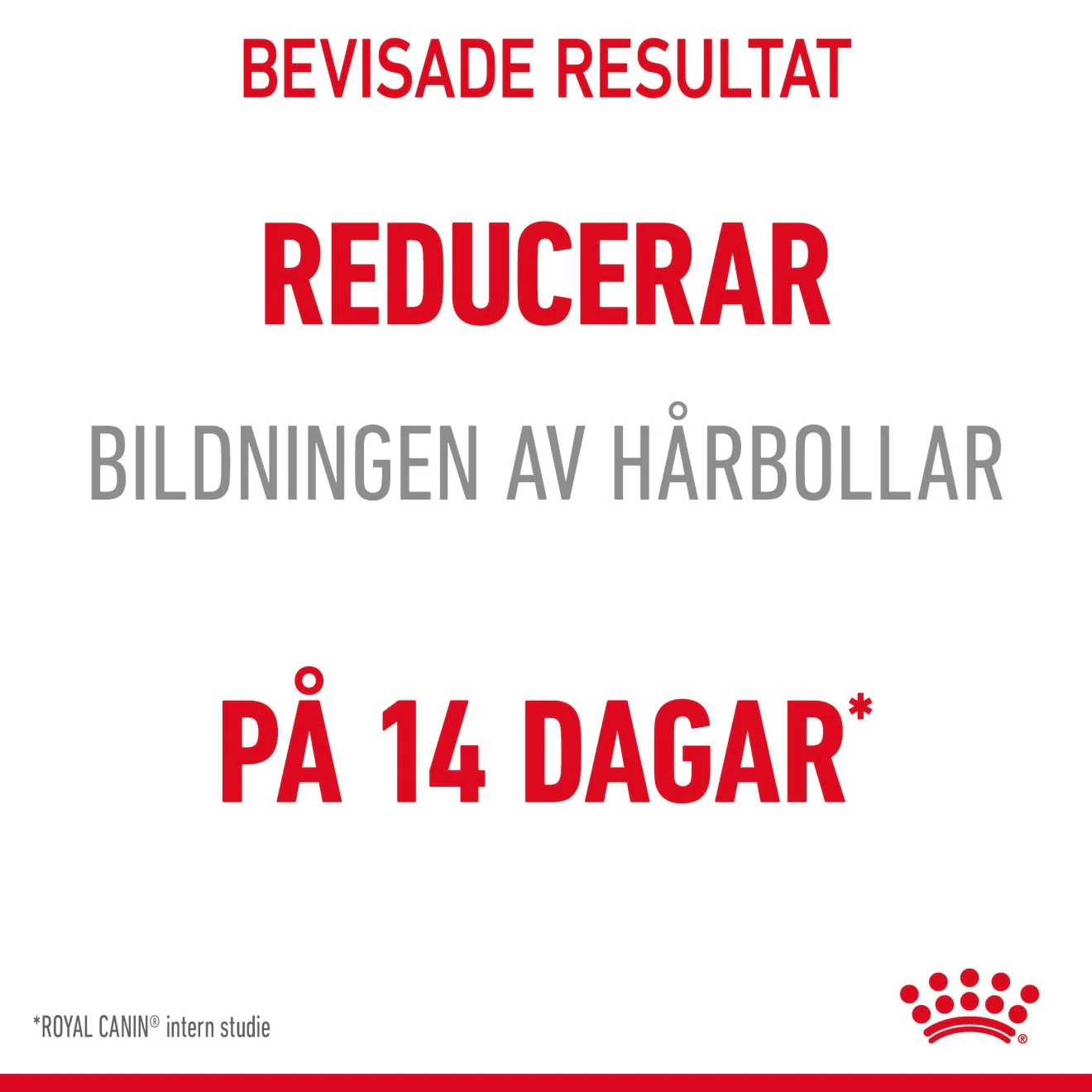 Royal Canin Hairball Care - Image 2