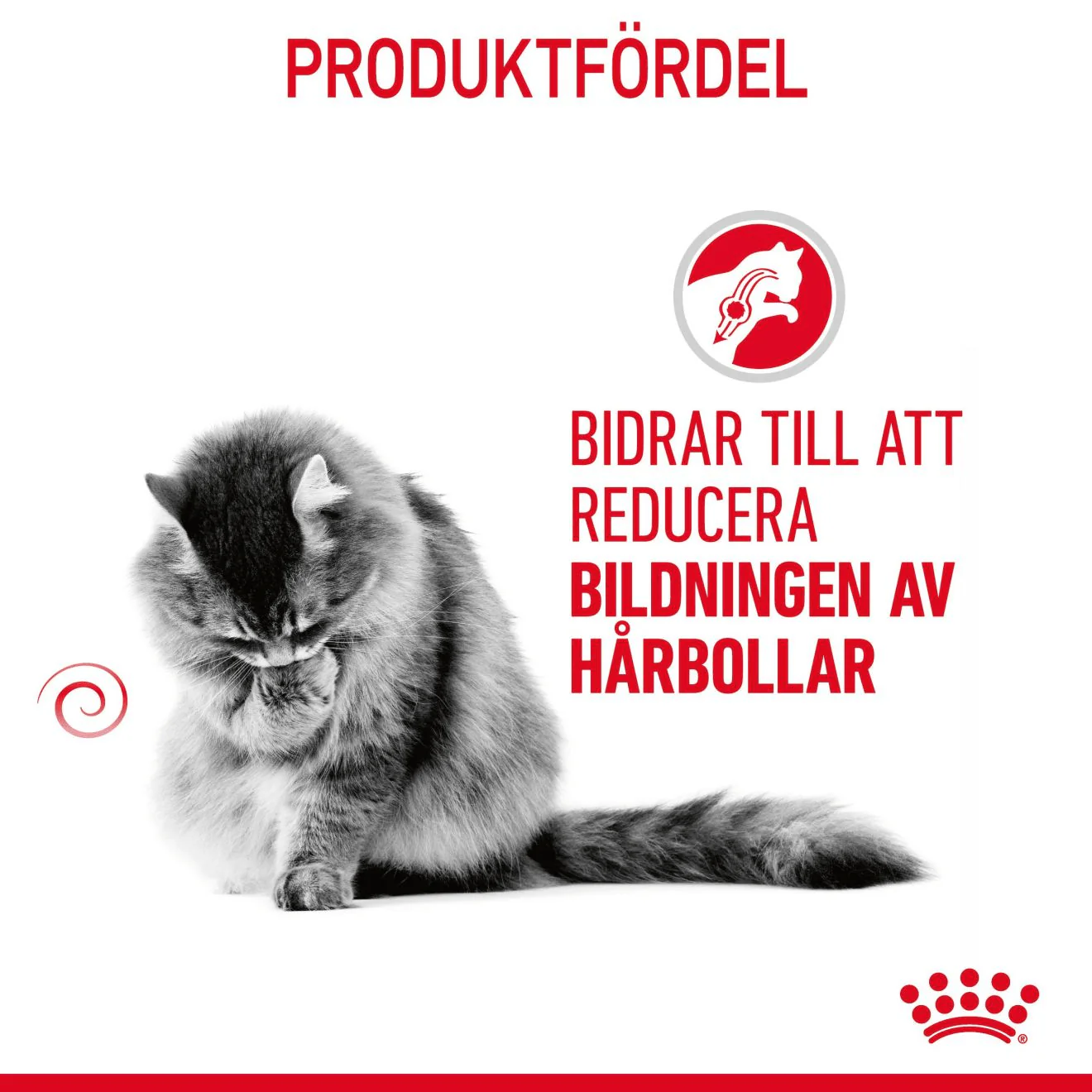 Royal Canin Hairball Care - Image 3