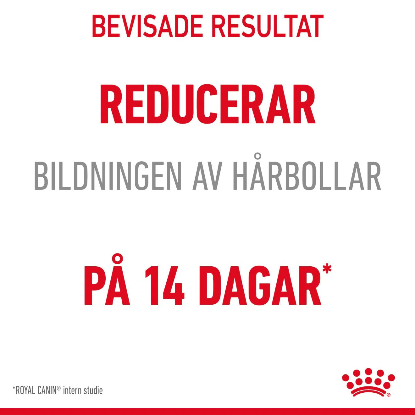 Royal Canin Hairball Care Gravy - Image 11